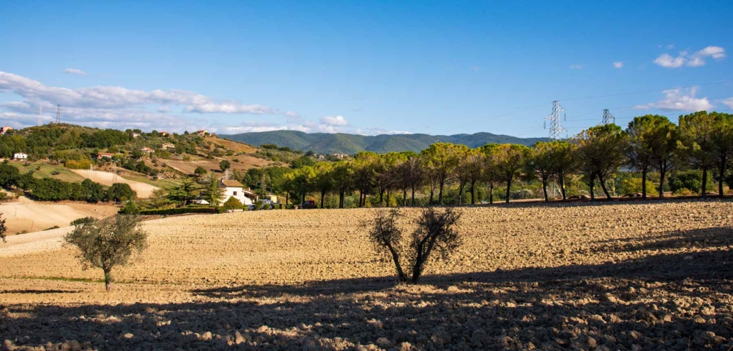 Lu-renge-image-cover-slide-10