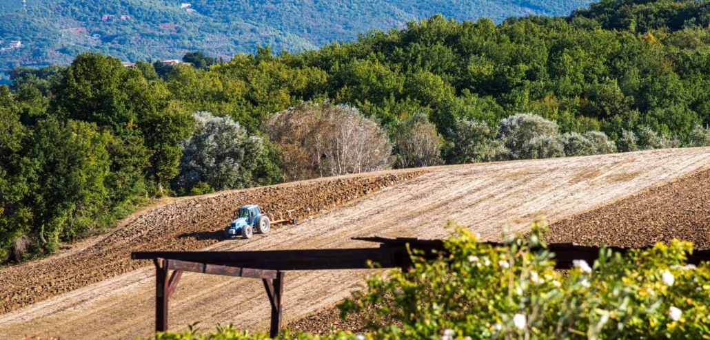 Lu-renge-image-cover-slide-11